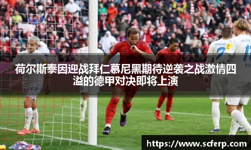 zoty中欧
